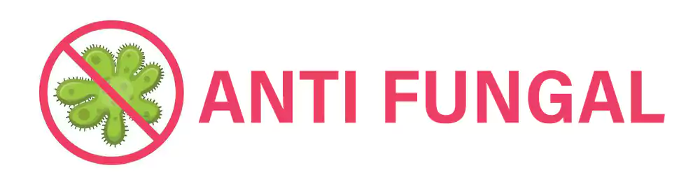 Antifungal
